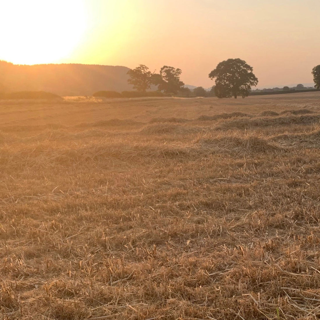 Regenerative Farming: Who Gets to Decide?