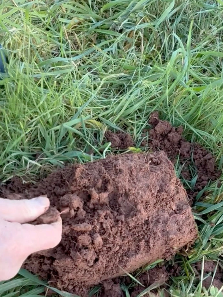 What are we actually trying to do with our soil?