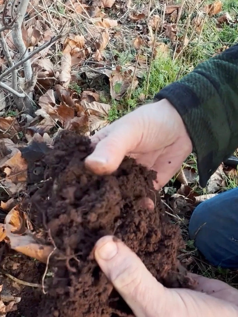 Living Roots. Living Soil.