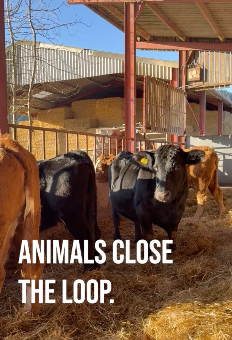 Animals Close the Loop.