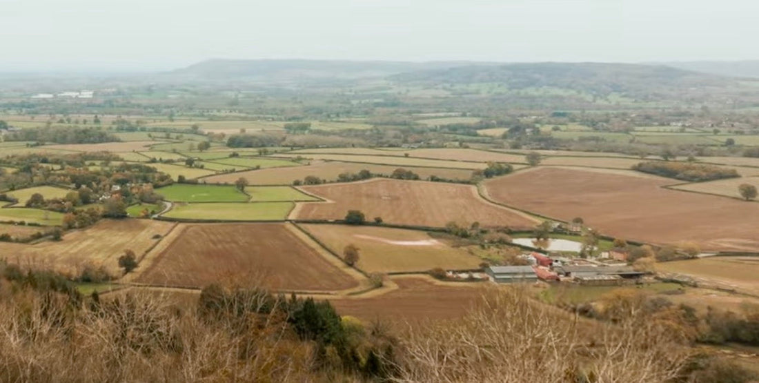We’re very grateful to be part of the Duchy Focus Farmers — one of seven farms learning our way through regenerative agriculture together.