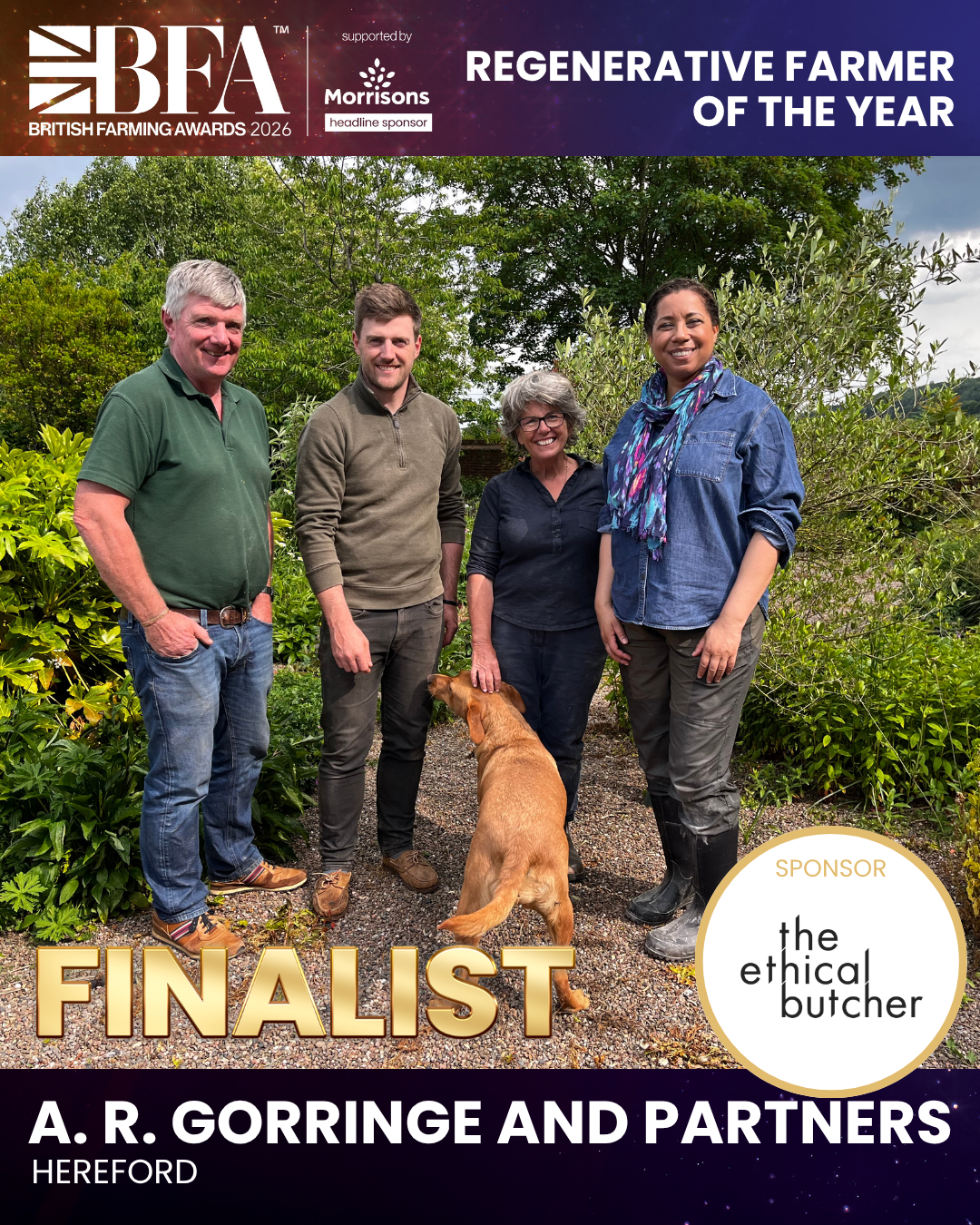Well, Well, Well! We’ve Made the Final!