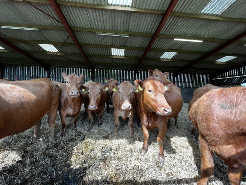 Farm Supplies – Biology, Composting & Soil