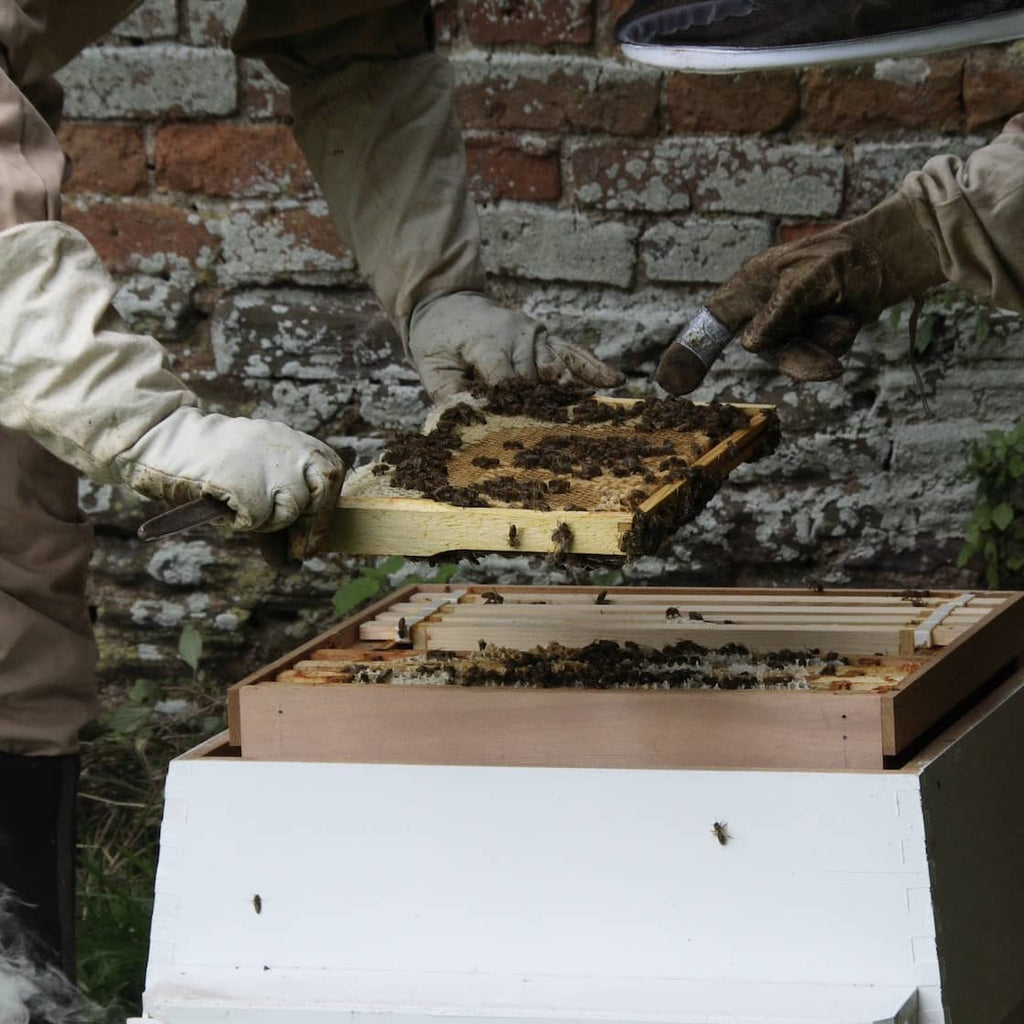 Honey Box