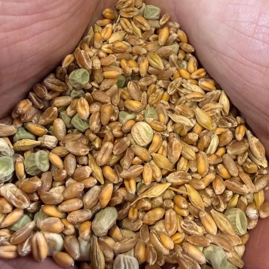 Duck & Swan Grain - 15kg | Preorder now for delivery Mid June