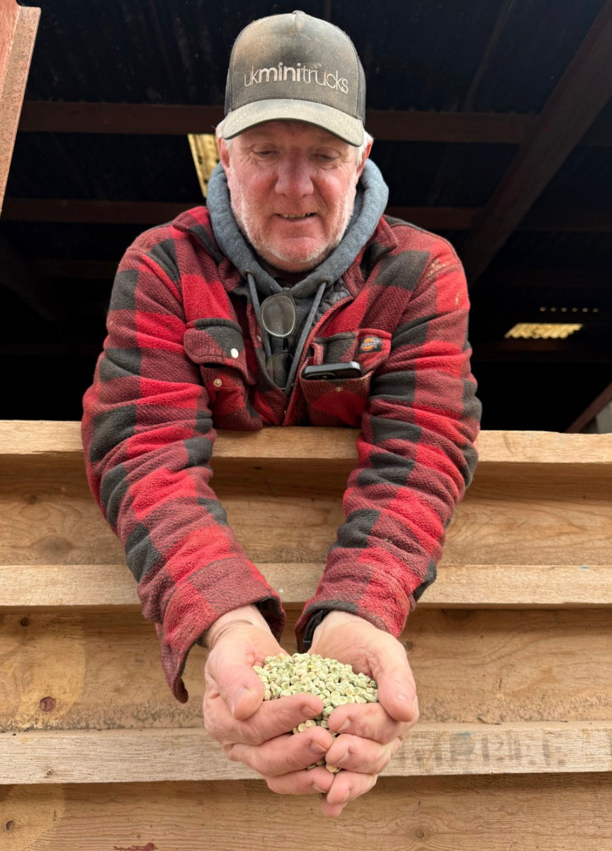 Whole Peas - 15kg | Preorder now for delivery Mid April