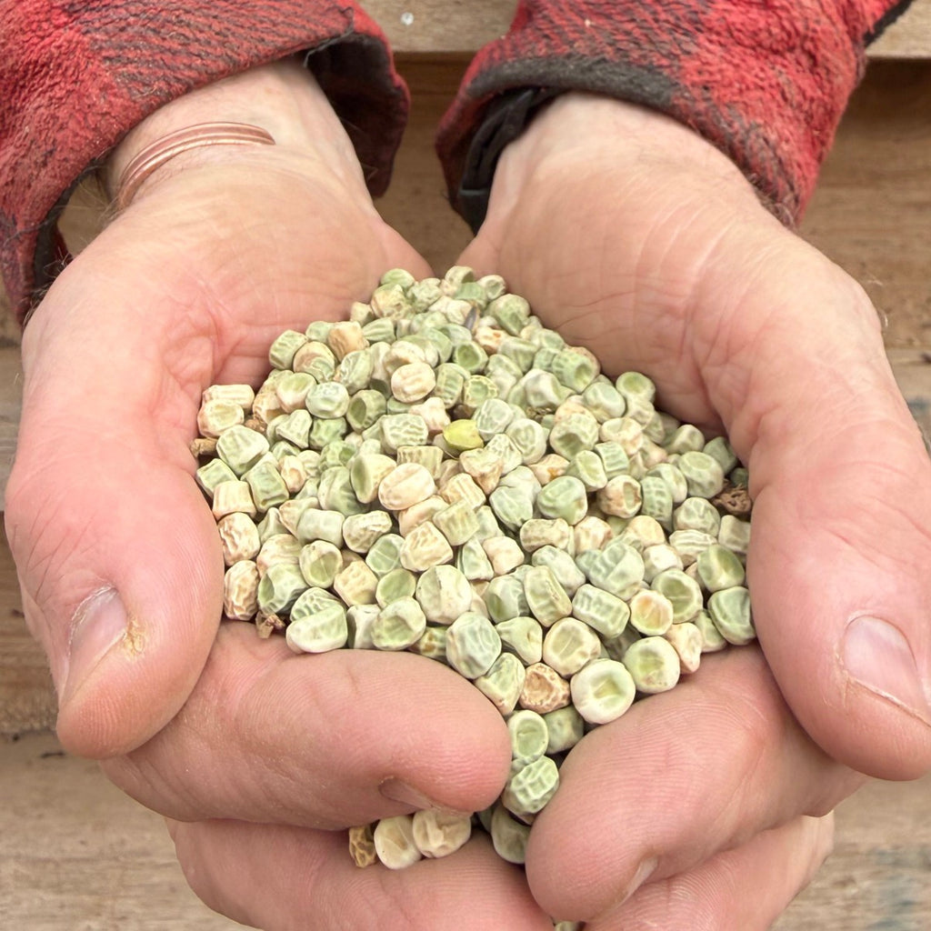 Whole Peas - 15kg | Preorder now for delivery Mid April