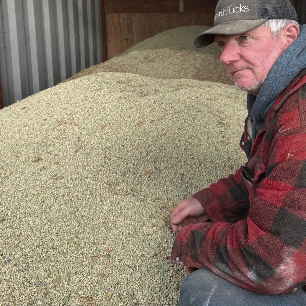 Whole Peas - 15kg | Preorder now for delivery Mid April