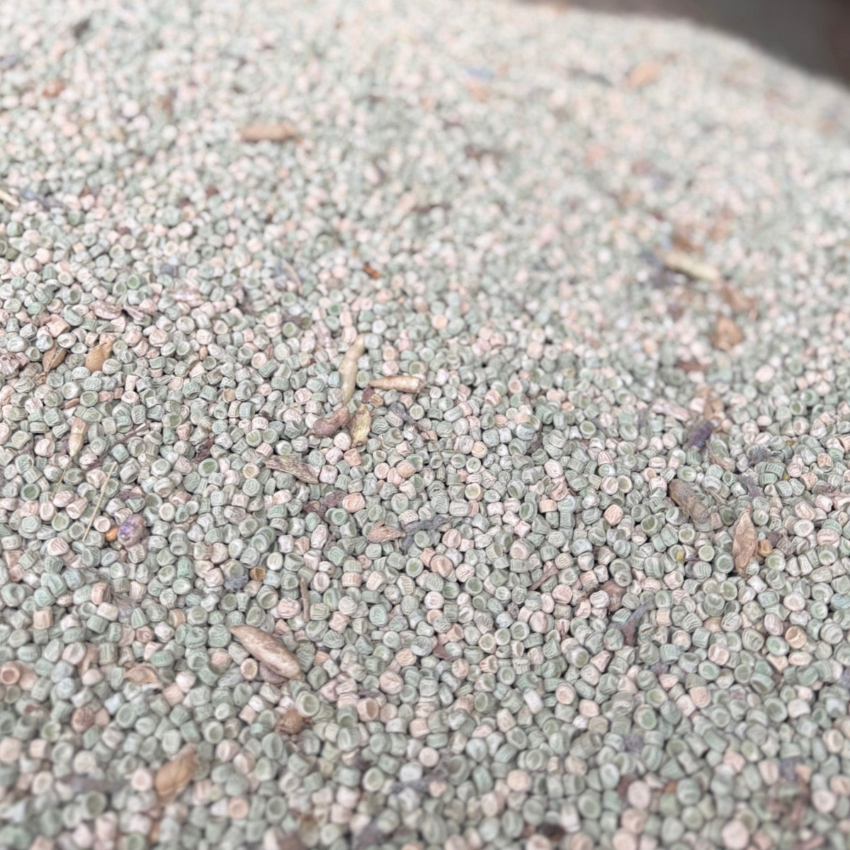 Whole Peas - 15kg | Preorder now for delivery Mid April