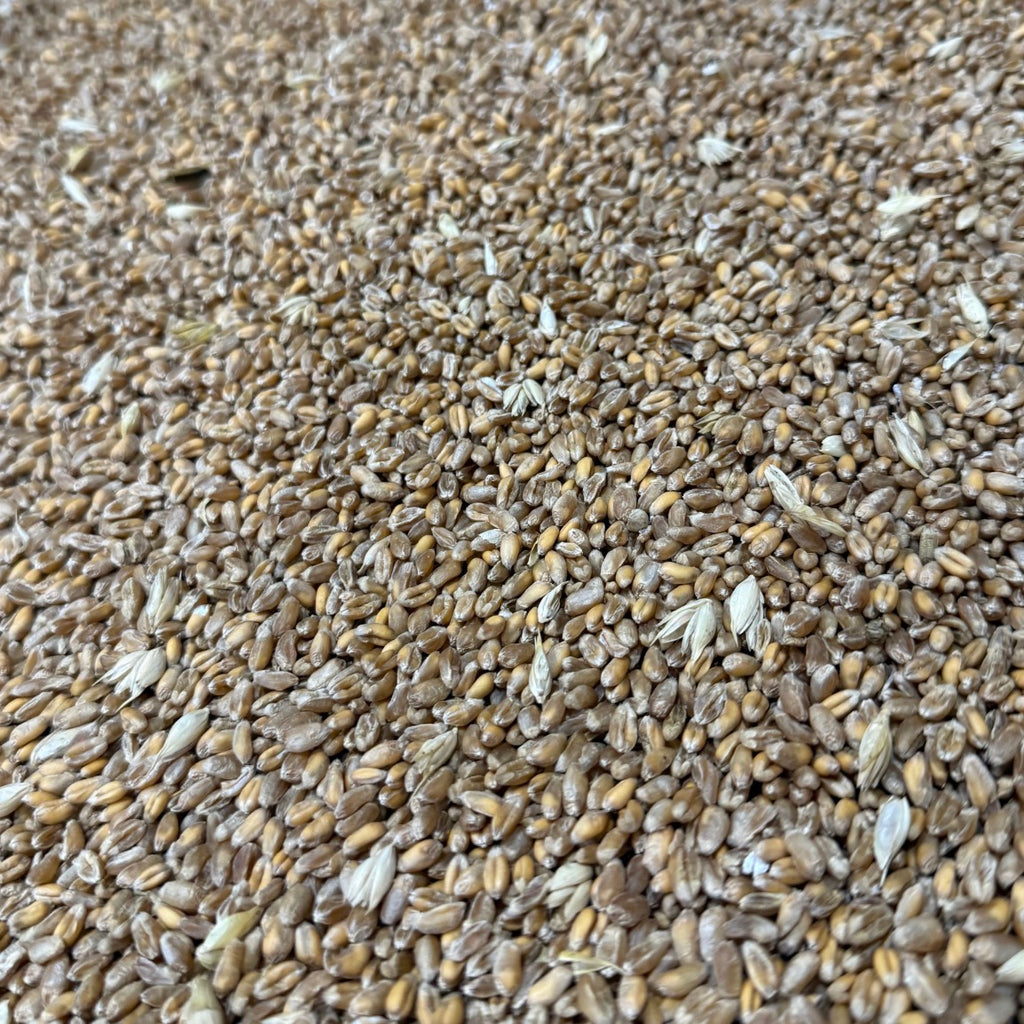 Whole Wheat - 15kg | Preorder now for delivery Mid April