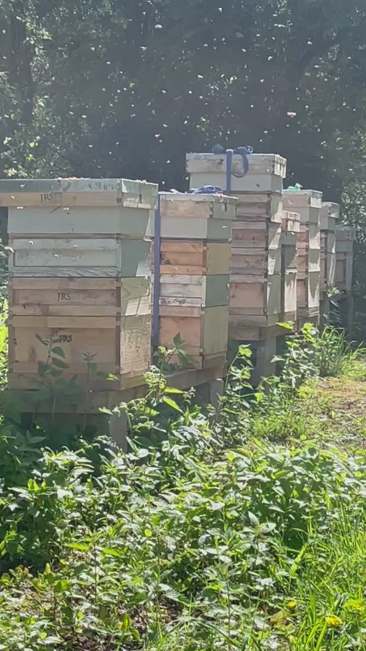 Honey Box