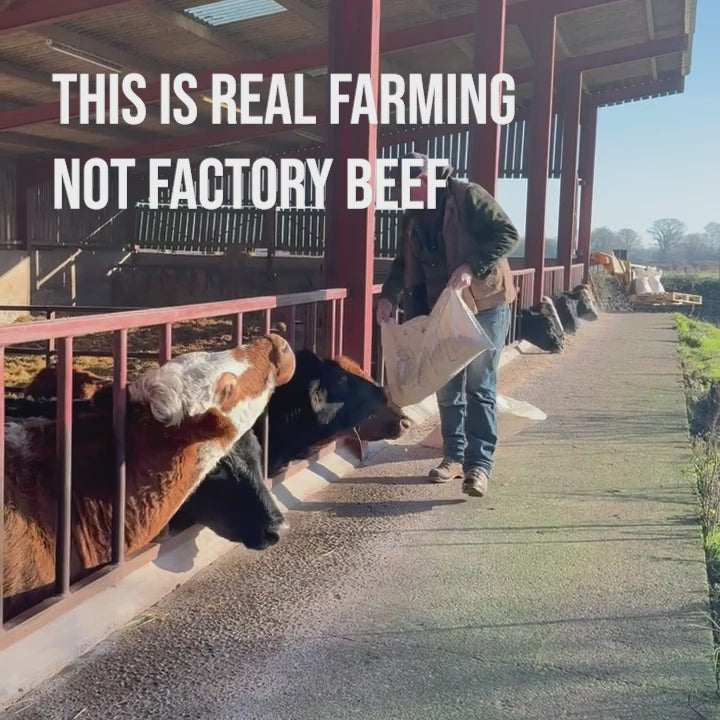 Beefy Box – Stabiliser Beef | Reserve Now for July Delivery